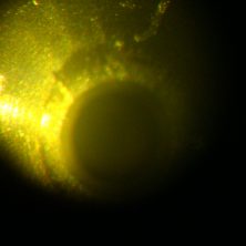 Выеденное седло мультипликатора форсунки под микроскопом