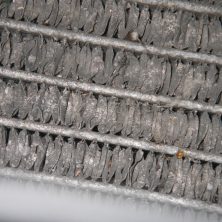 Помятые соты