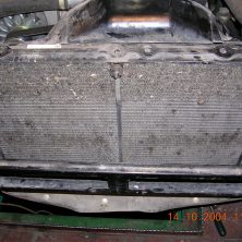 Забитый насекомами радиатор3