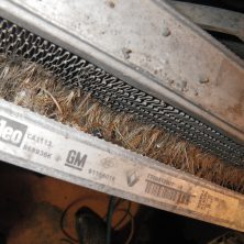 Забитый радиатор колосками