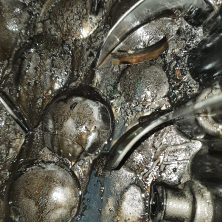 Стружка от вкладышей в поддоне