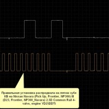 Правильная установка распредвала на пятом зубе КВ на Nissan Navara